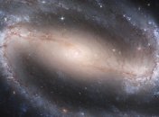 Ученые выяснили, где следует искать внеземной разум 