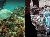 Последствия пандемии: в море нашли целый риф, покрытый одноразовыми масками (видео)