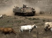 Британские силы участвовали в боях против ИГИЛ в Сирии