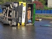 Был в семь раз пьянее нормы: вскрылись причины ДТП с бетономешалкой и пострадавшим в Киеве