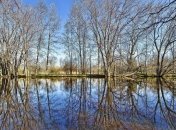 Прогноз погоды в Украине на 14 марта: ожидают солнце