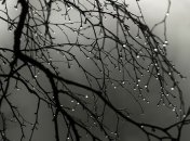 На выходных в Украине потеплеет