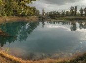 Ученые доказали, что наркотические вещества меняют флору и фауну водоемов