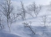 Завтра Украину ждет мокрый снег