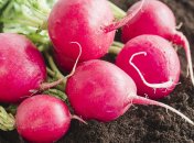 Редис - один из самых главны компонентов весенних салатов