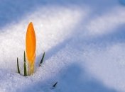 22 февраля - приметы и обряды в День Панкратия