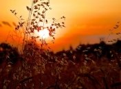 Прогноз погоды в Украине на 26 июля: солнечно почти во всех областях