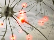 Ученые назвали источник сознания у человека