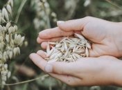 Евсеев день: приметы и обряды на 7 мая