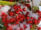 Какой завтра праздник: приметы и обряды на 17 декабря