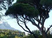 Возле Алушты зафиксировано 3 землетрясения