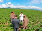 Картошка превыше всего: Ким Чен Ын инспектировал ферму, вместо встречи с Помпео