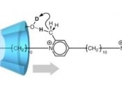 Ученые создали молекулярную машину, обеспечивающую движение в одну сторону