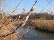 9 марта. Приметы дня