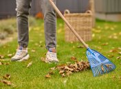 Людей просят не сжигать опавшие листья