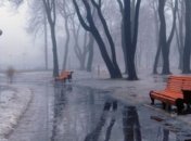 Погода в Украине на 4 февраля: во всех областях - осадки, местами возможен туман