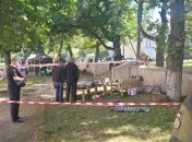 Расследование трагического инцидента с пострадавшими