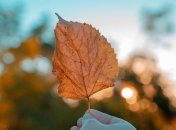 День осеннего равноденствия: главные приметы и запреты