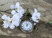 Знаменательные события в истории: 13 августа 2019 года