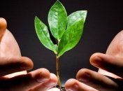 Сегодня отмечается День эколога 