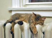 Лайфхак, как помыть батареи между секциями