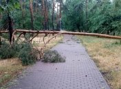 В Киеве ликвидируют последствия непогоды