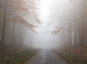 Украинцев ждут морозные выходные: синоптик рассказала, когда потеплеет