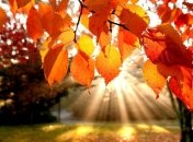 Прогноз погоды в Украине на 25 сентября: преимущественно дожди 