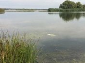 В озере на Херсонщине нашли расчлененное тело