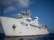 Исследователи впервые засняли неизвестное существо странной формы (Видео)