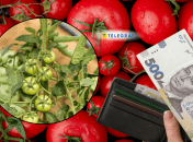 Выбирать рассаду на грядки нужно внимательно