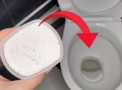 Что произойдет, если засыпать стиральный порошок в унитаз каждую ночь