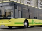 Египет аннулировал тендер на закупку у ЛАЗа 289 автобусов и объявил новый на 400 единиц