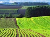 Земли без кадастрового номера переходят во владение государства. Как сохранить свою собственность?