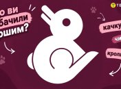 Назовите первую фигуру, которая бросилась в глаза