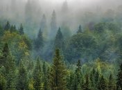 В Украине появится еще один правоохранительный орган