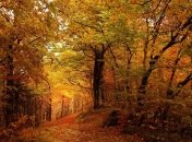 Погода в Украине на сегодня: солнечно будет только на западе