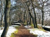 Какой завтра праздник: народные приметы и обряды на 28 декабря