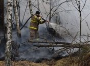 В Чернобыльской зоне спасатели ликвидировали пожар