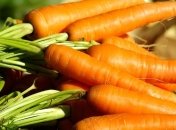 Названы продукты с высоким содержанием клетчатки