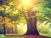 Прогноз погоды в Украине на 10 сентября: ожидается жаркая погода