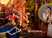 Осінь в саду