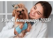 День ветеринара в 2023 году выпадает на 13 августа