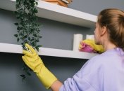 Пользуйтесь нашими лайфхаками – и забудете о ежедневной влажной уборке