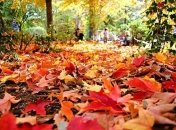 9 октября. Приметы дня