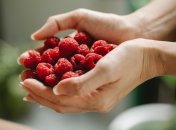 Чем лучше о малине заботиться, тем обильнее она плодоносит