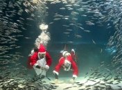 Рождество под водой