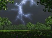 Во Львовской области молния убила мужчину