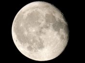 Полет к Луне: SpaceX назвала имя первого космического туриста