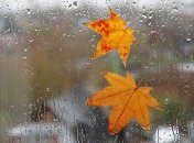 Прогноз погоды в Украине на 20 сентября: похолодает и пройдут дожди 